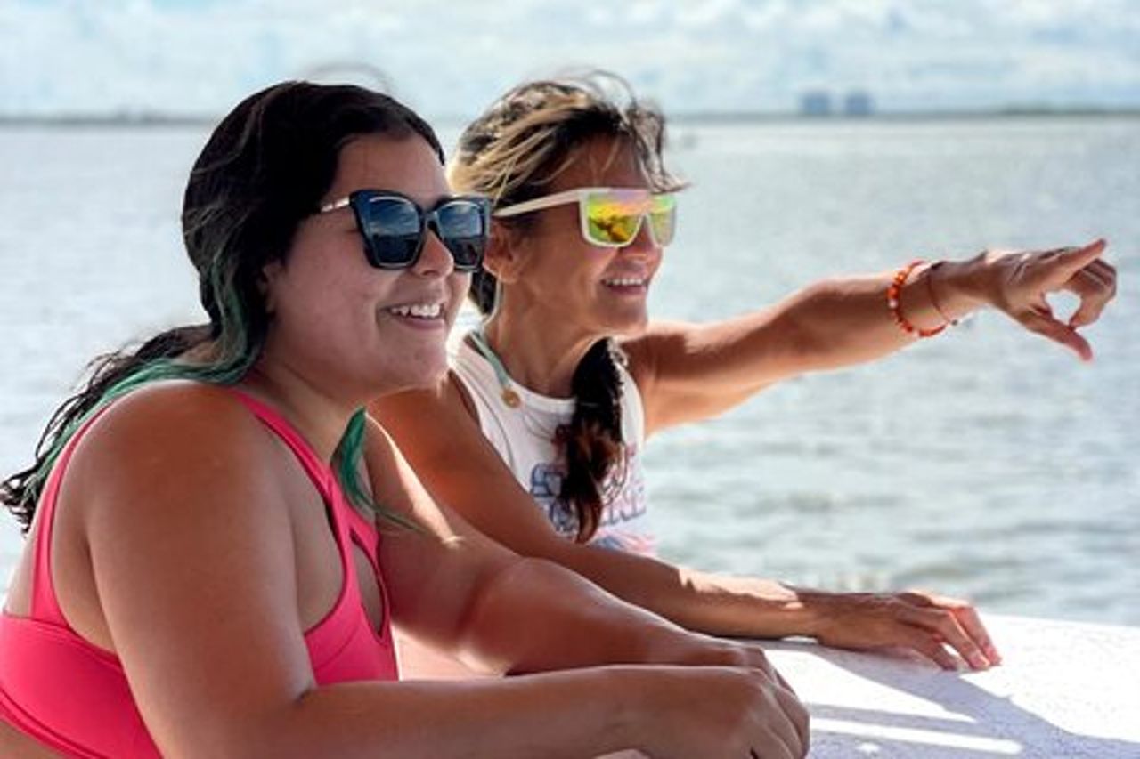 Tour in crociera con delfini e gusci a Fort Myers Beach