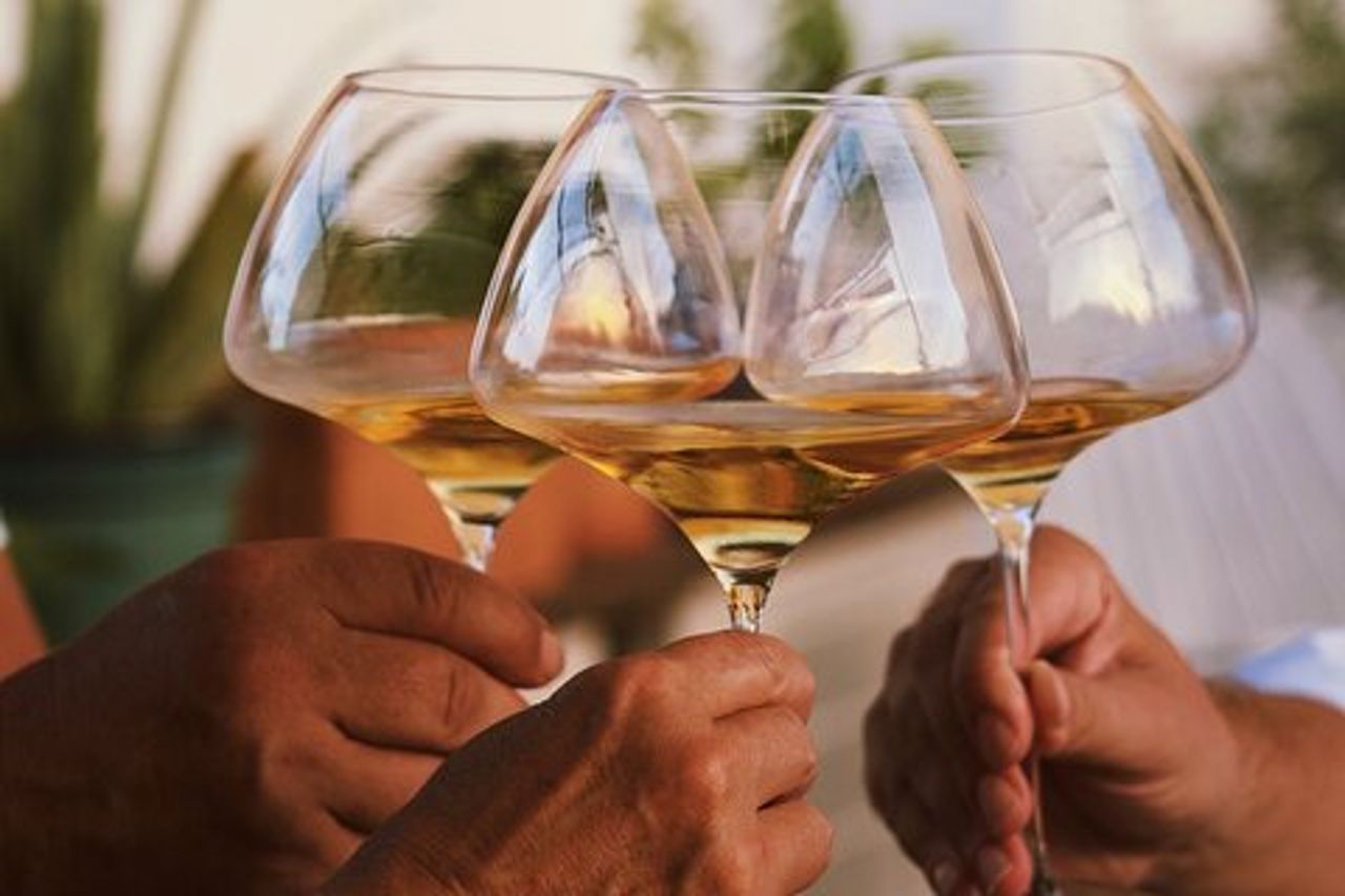 Esperienza di degustazione di vini gastronomici guidata da un sommelier