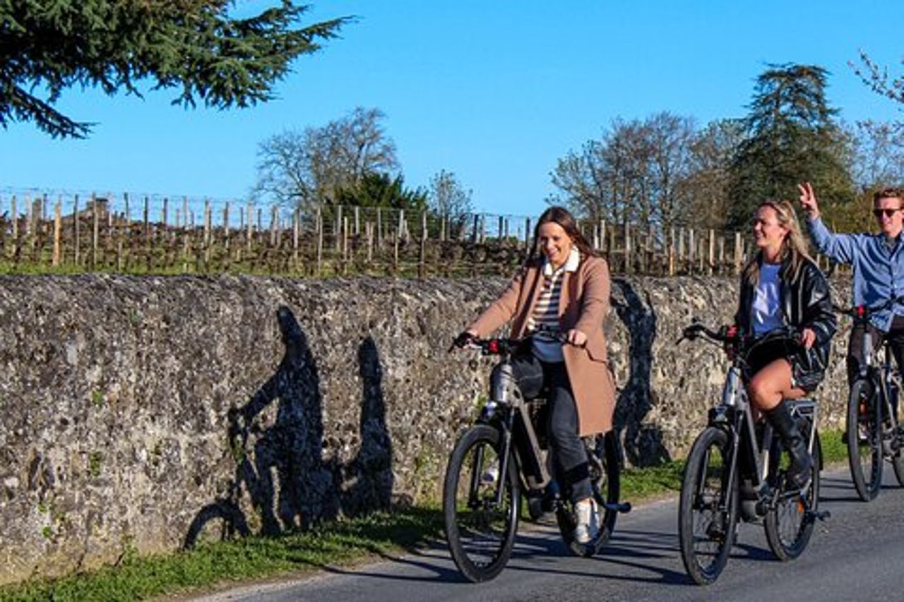 Tour di mezza giornata in bici elettrica e vino a Saint Emilion con picnic.