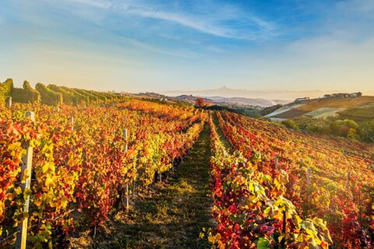 Monforte d'Alba Langhe con Degustazione di vino indimenticabile
