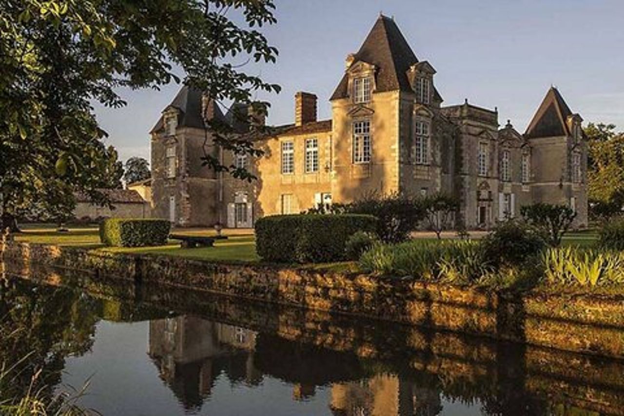Tour enologico del Médoc: castelli, degustazioni e guida WSET