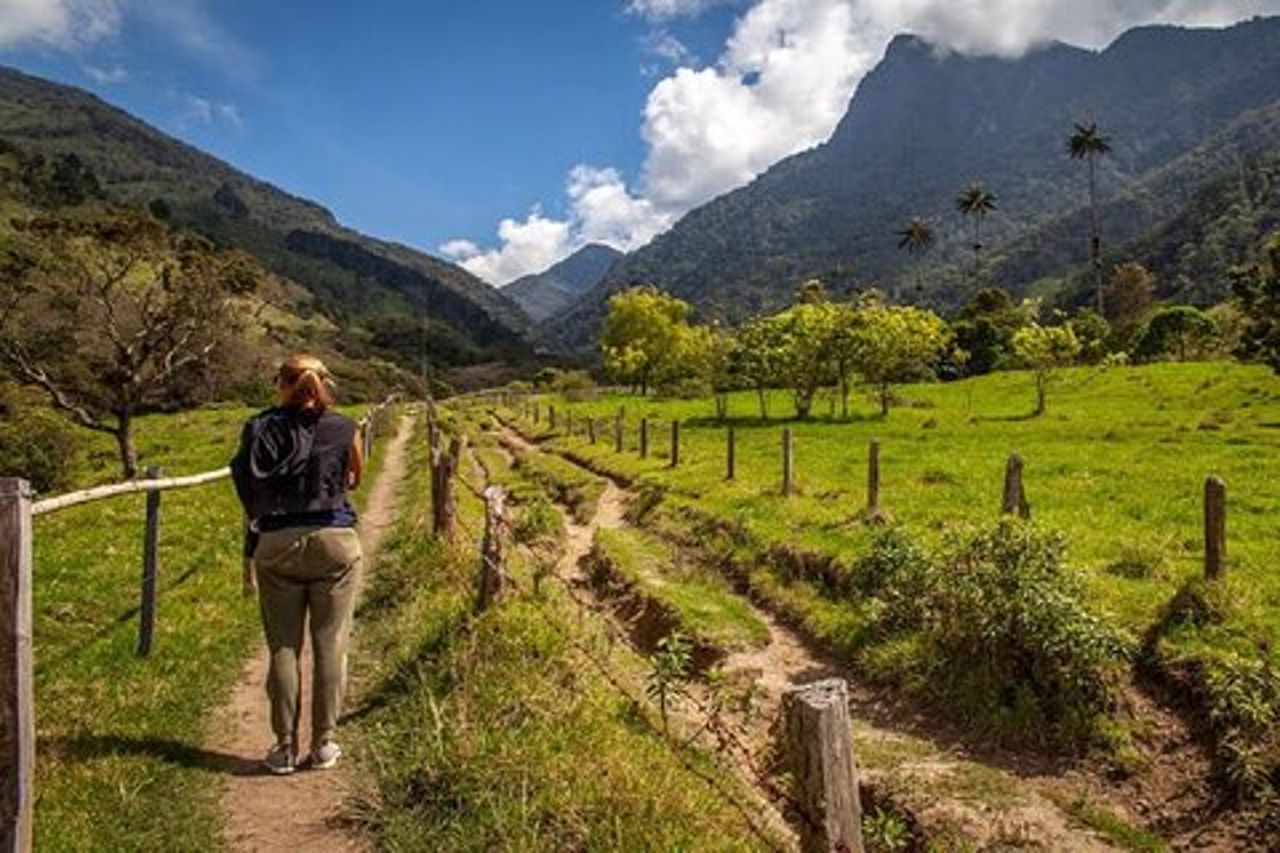Tour a piedi della Cocora Valley con pranzo