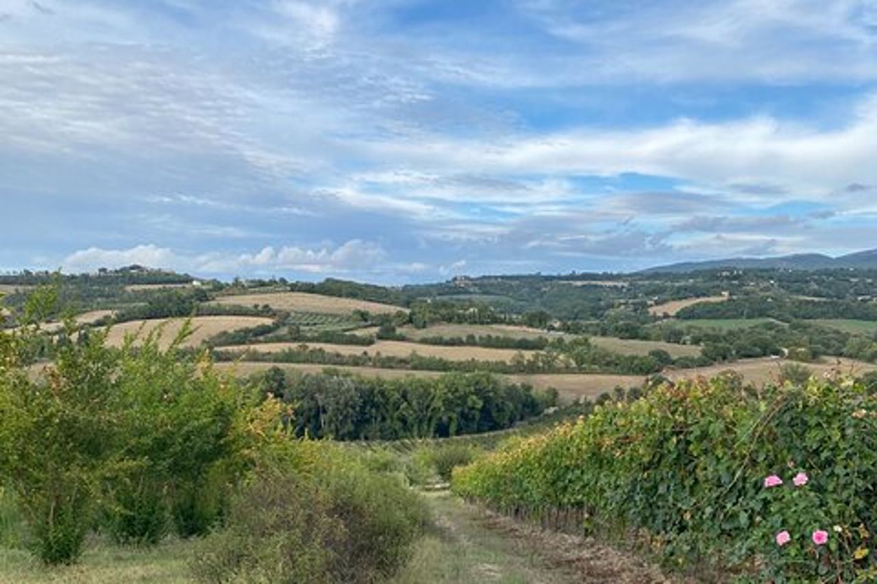 Esperienze in Umbria, Toscana e Marche