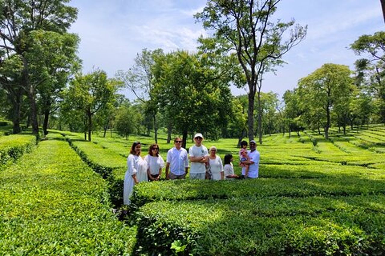 Tour del giardino del tè di Palampur