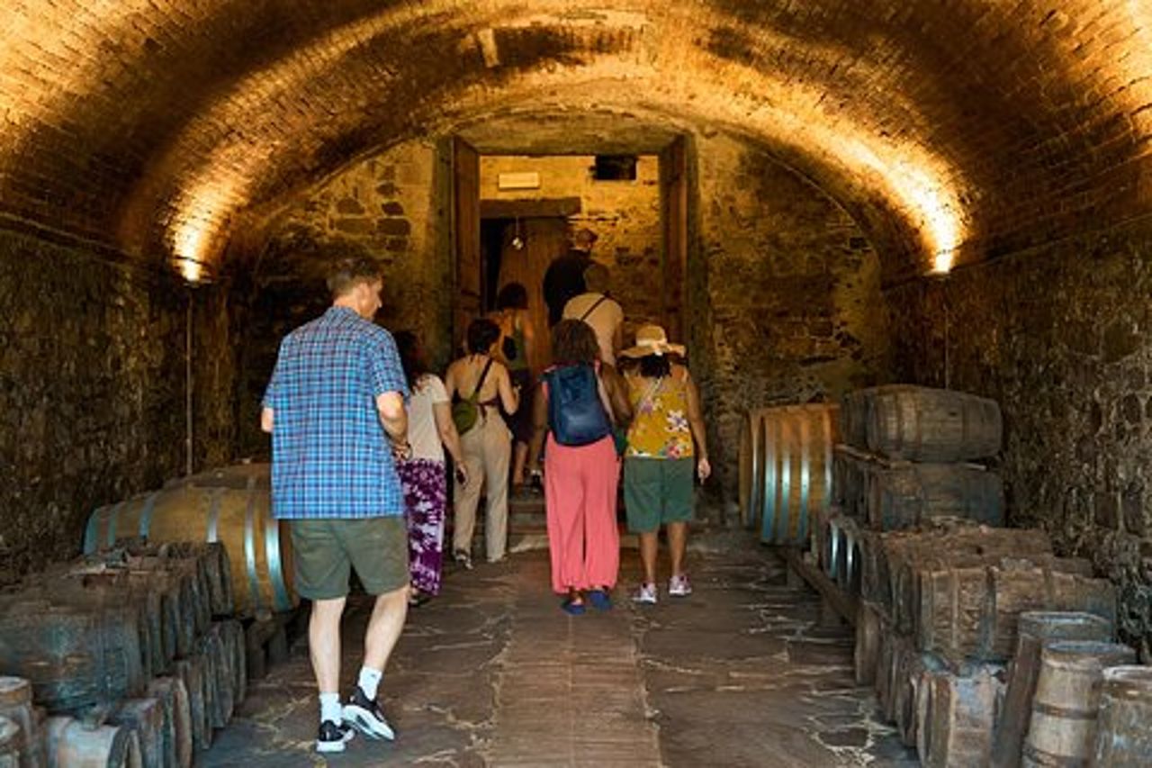 Chianti Wine Tour con Degustazioni Esperienza Semi-Privata