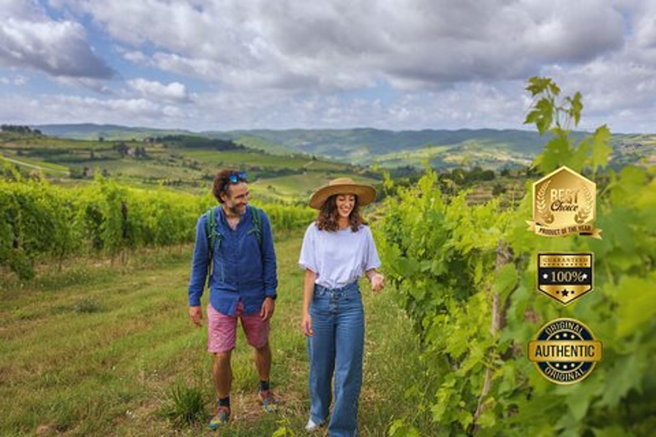 Escursioni Toscana & Vino Chianti - 3 Cantine Biologiche con pranzo