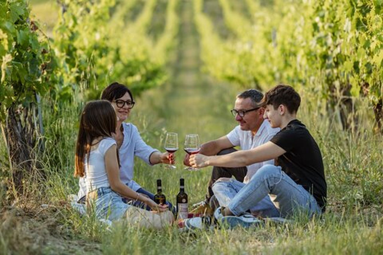 Montalcino: esclusivo picnic in vigna con vino