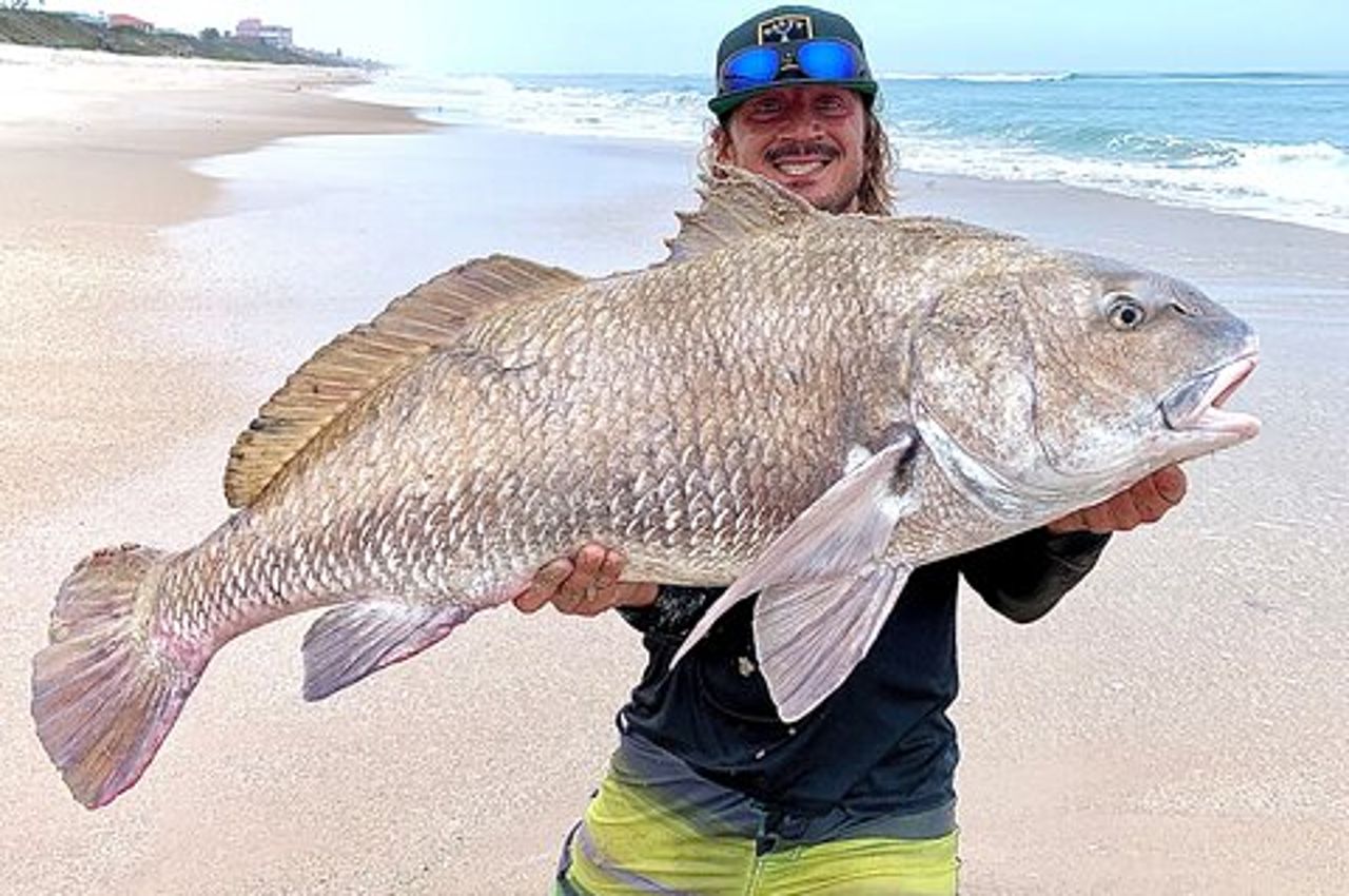 Escursione combinata di pesca allo squalo e alla spiaggia 4 ore