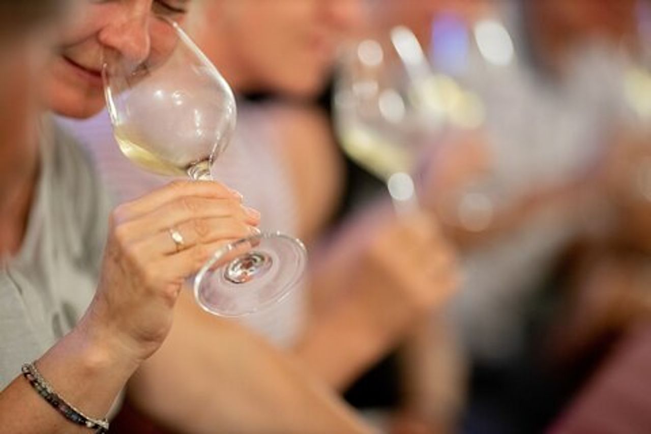 Visita e Degustazione Privata d'Olio EVO e Vino Biologico