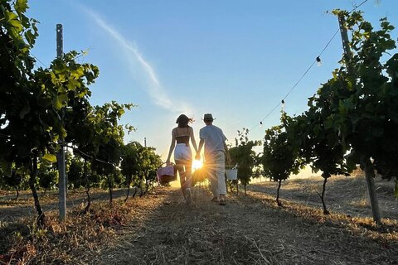 Palau Picnic per Piccoli Gruppi in Tenuta Gallura con Degustazione di Vini