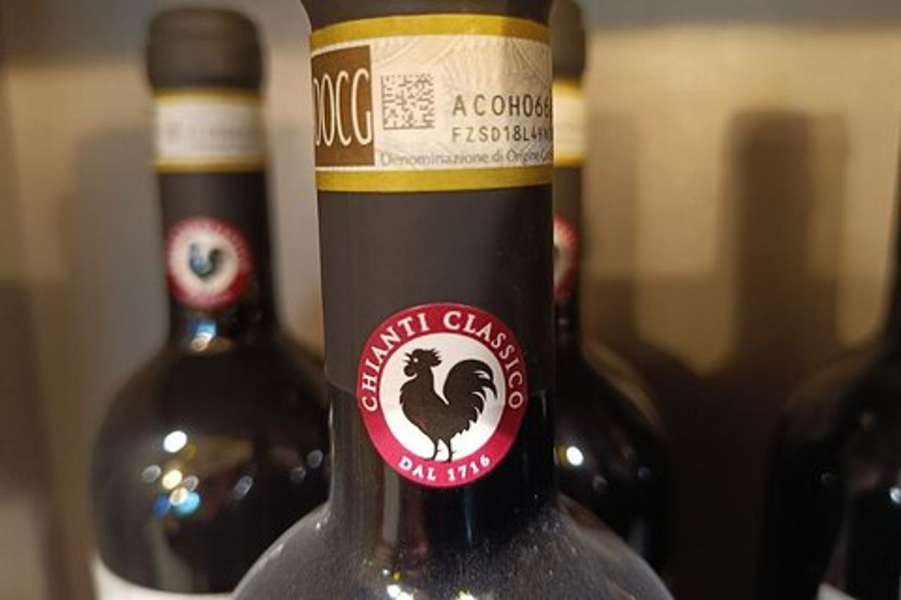 "Buongiorno Chianti Classico" - Tour in 2 cantine con pranzo