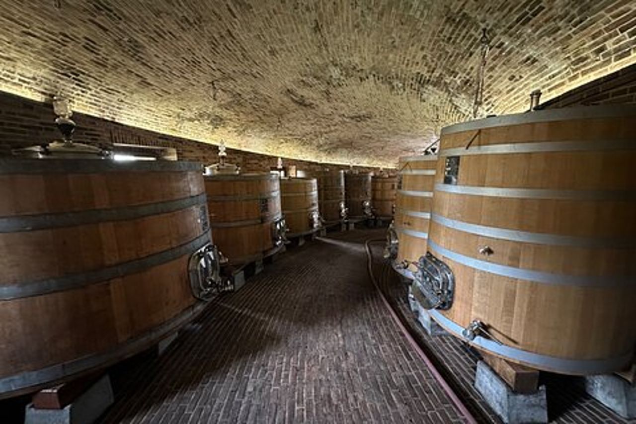 Esclusiva Montalcino Wine Experience
