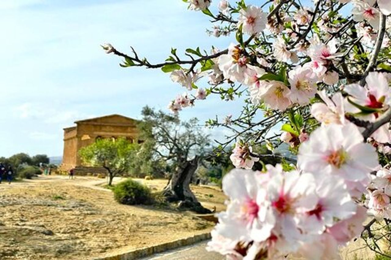Pozzallo Agrigento e la Valle dei Templi