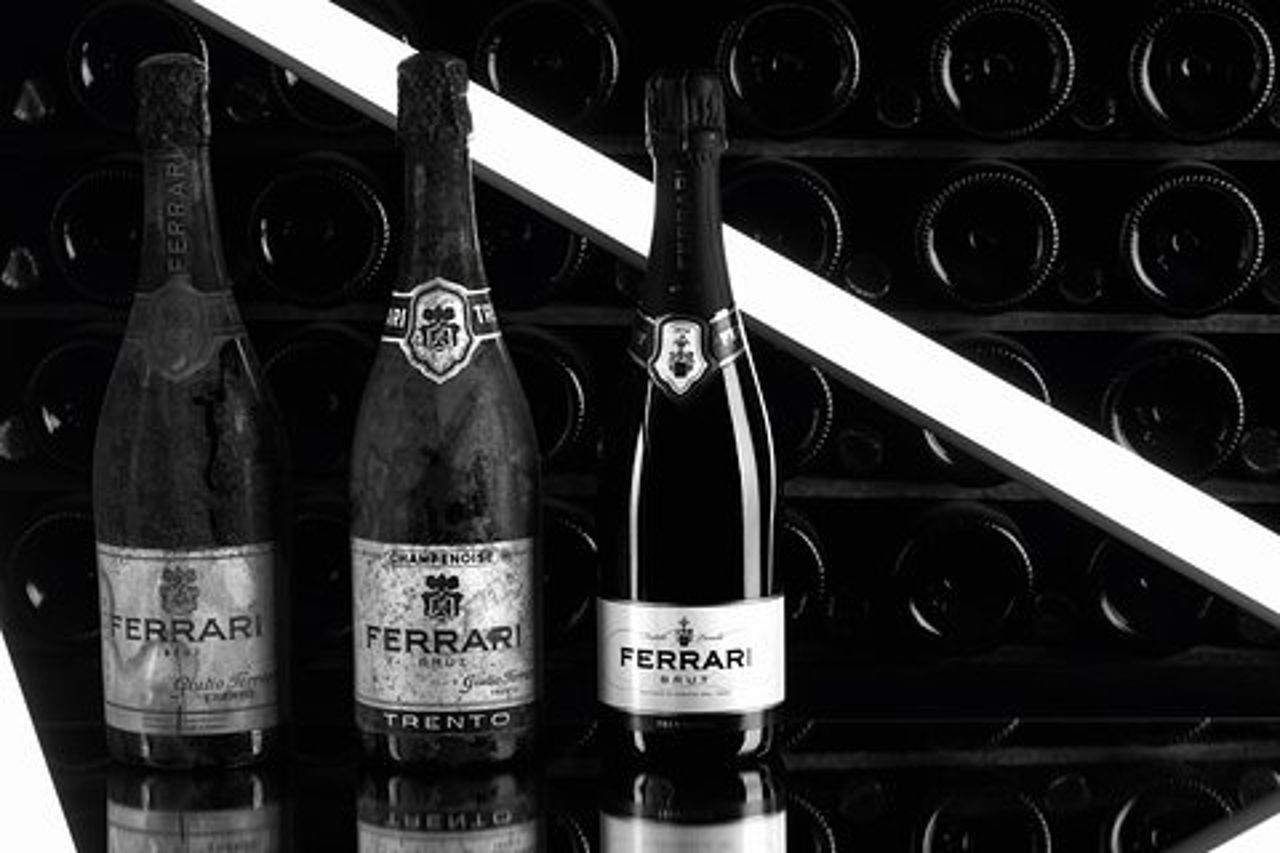 Tour della cantina Ferrari & pranzo locale vicino alle Dolomiti