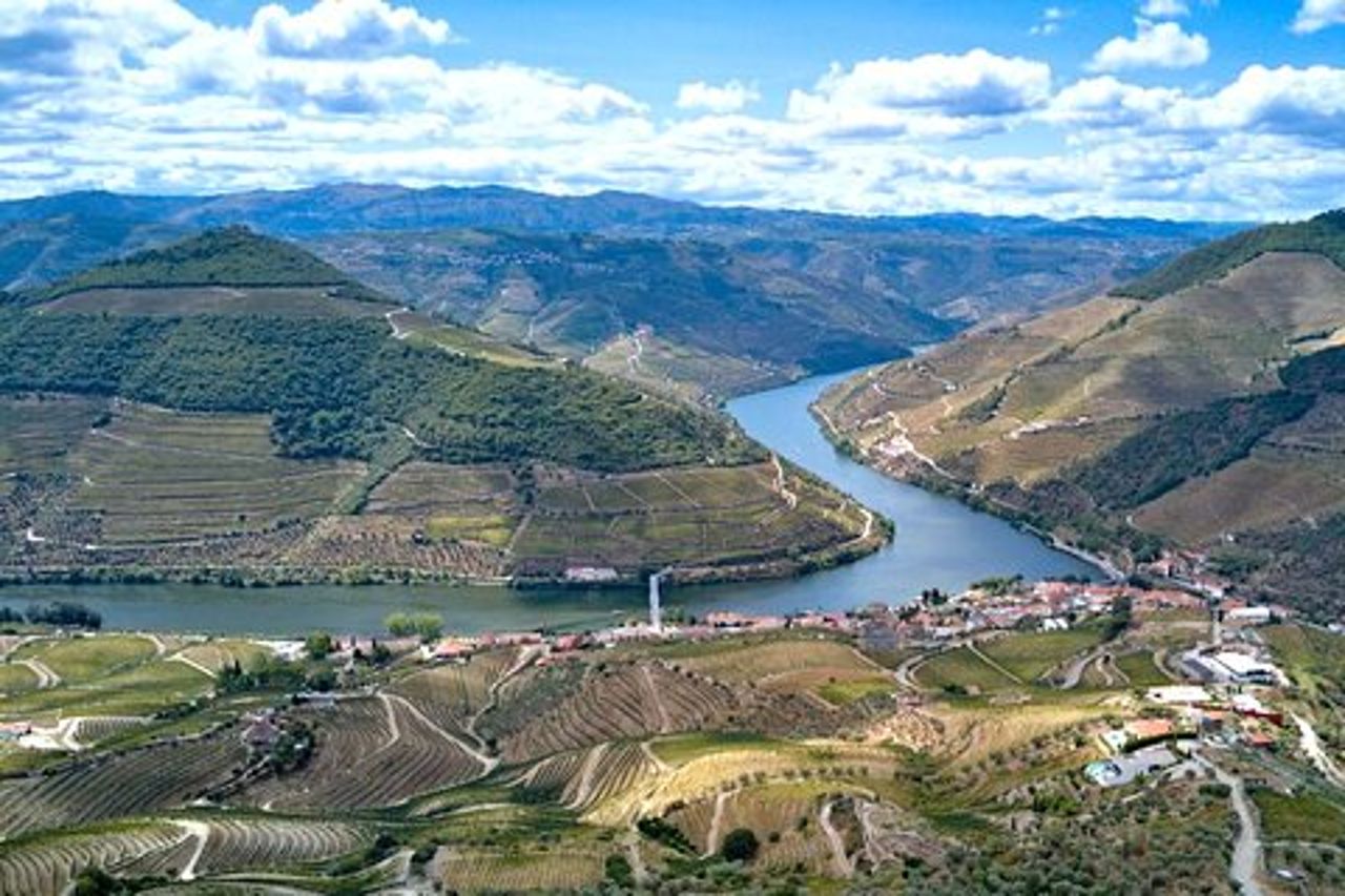 Tour privato della valle del Douro: cantina boutique e crociera sul fiume