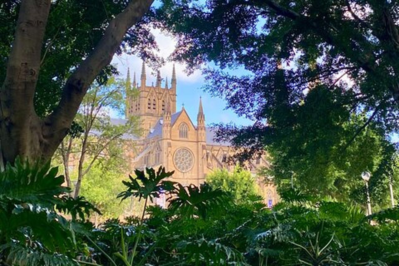 Tour a piedi della città di Sydney