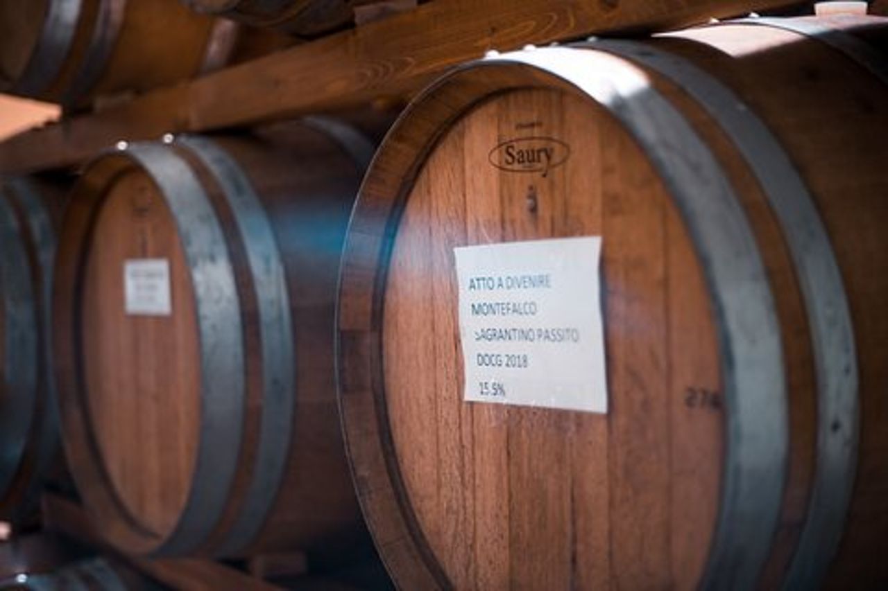 Umbria Mia: Degustazione con il Vignaiolo e Tour della Cantina.