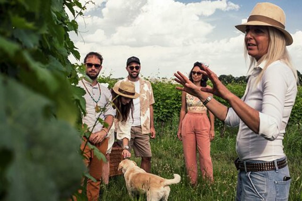 Tour dei vigneti e degustazione di 6 Vini del Garda con Giovanna Tantini