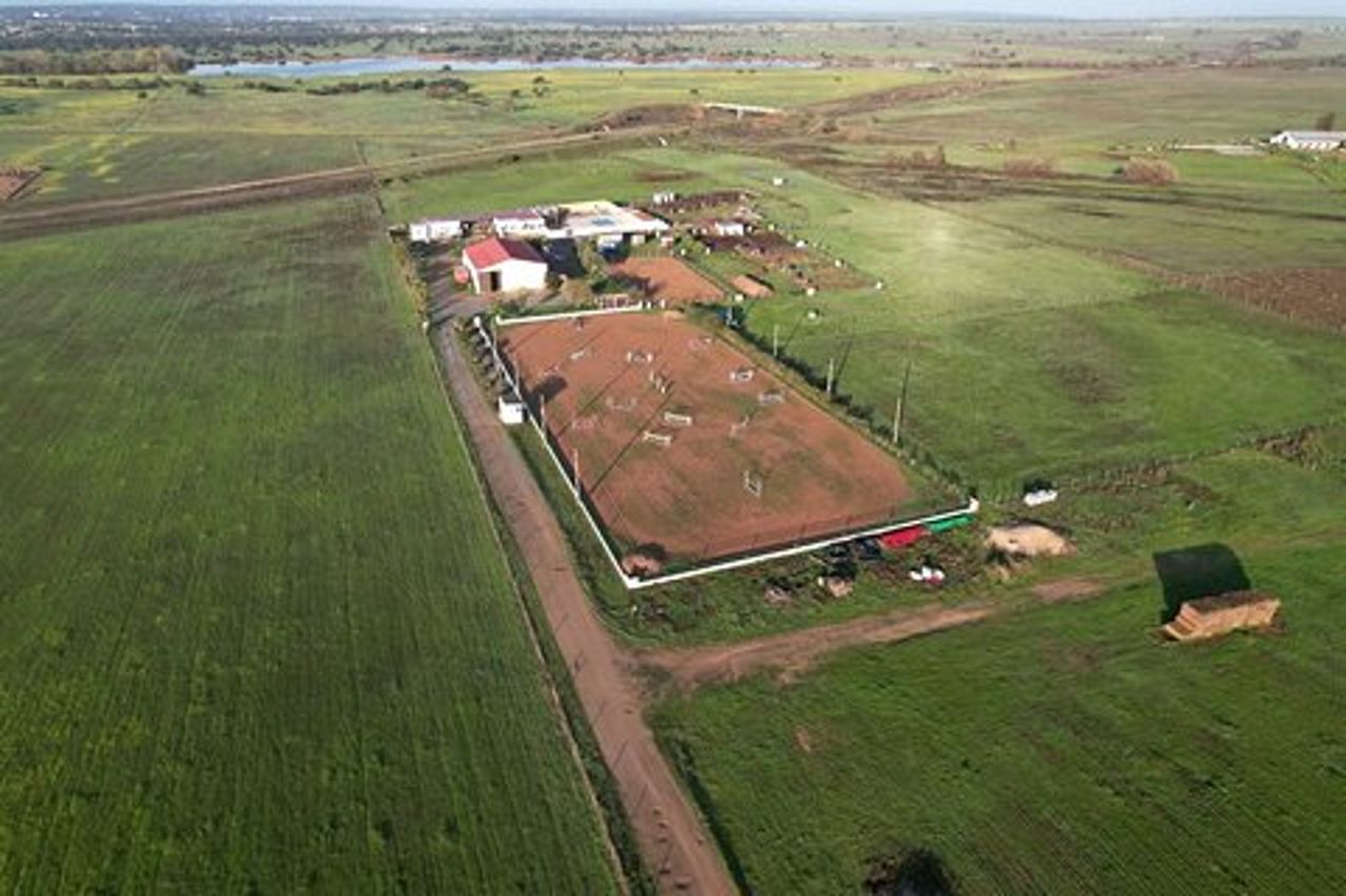 Equitazione a Évora