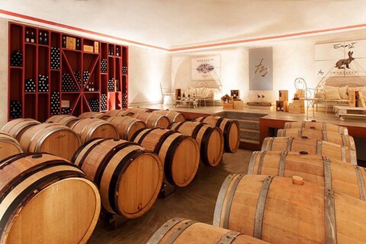 Da Civitavecchia: Wine Tour Toscana-Laziale con Degustazioni