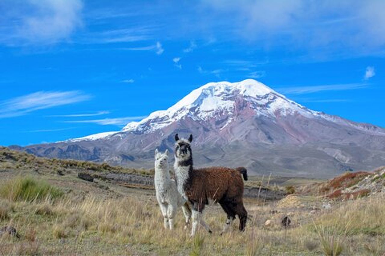Tour di 4 o 5 giorni da Quito a Cuenca con Cotopaxi, Quilotoa, Baños e Chimborazo