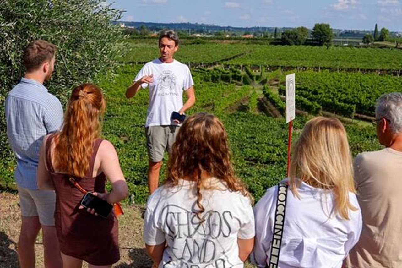 Tour della cantina e degustazione dei vini del Garda a Lazise
