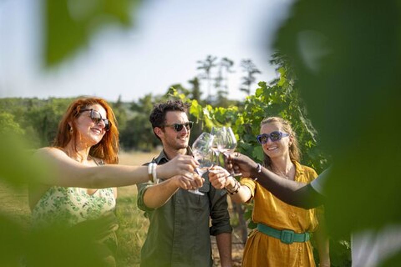 Tour del vino in Provenza - Tour privato di un giorno da Antibes