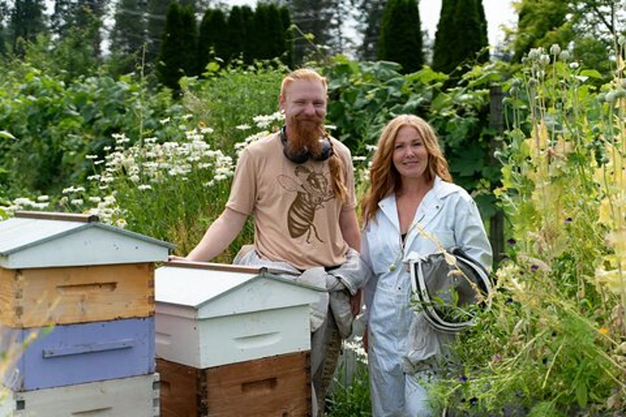 Okanagan Bee Tour e pranzo in cantina a Kelowna