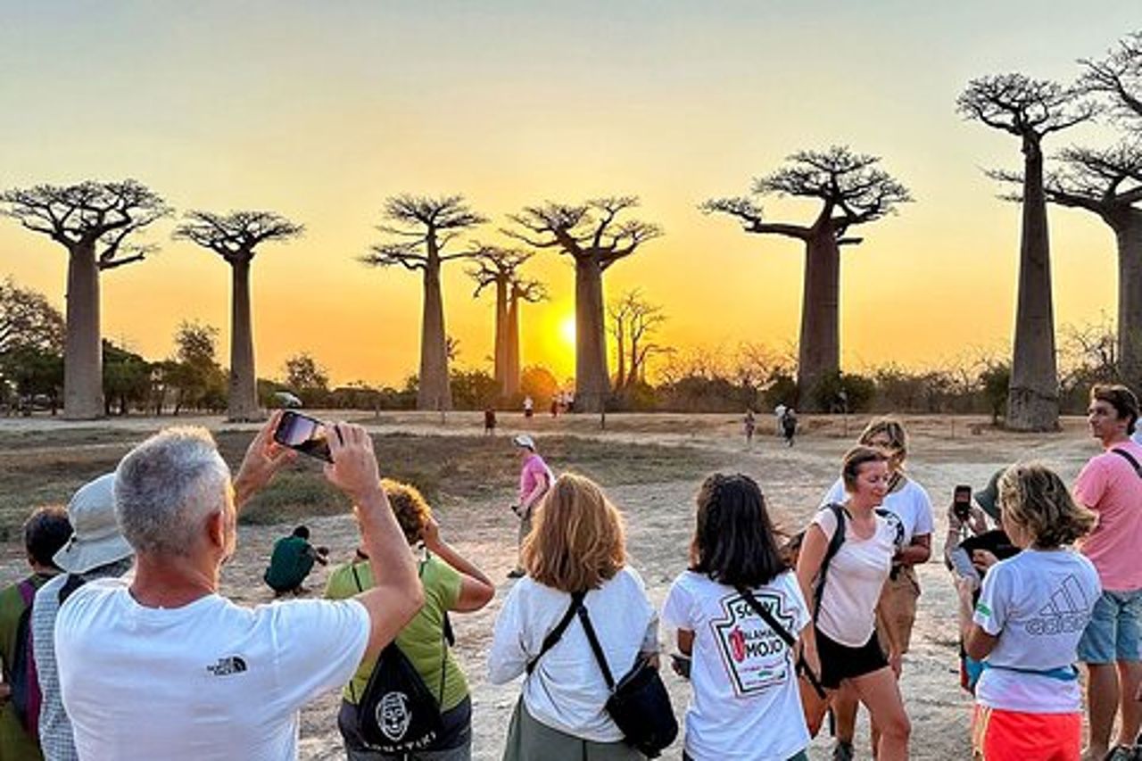 Miglior prezzo 7 giorni Madagascar Family Tour con Baobabs Avenue
