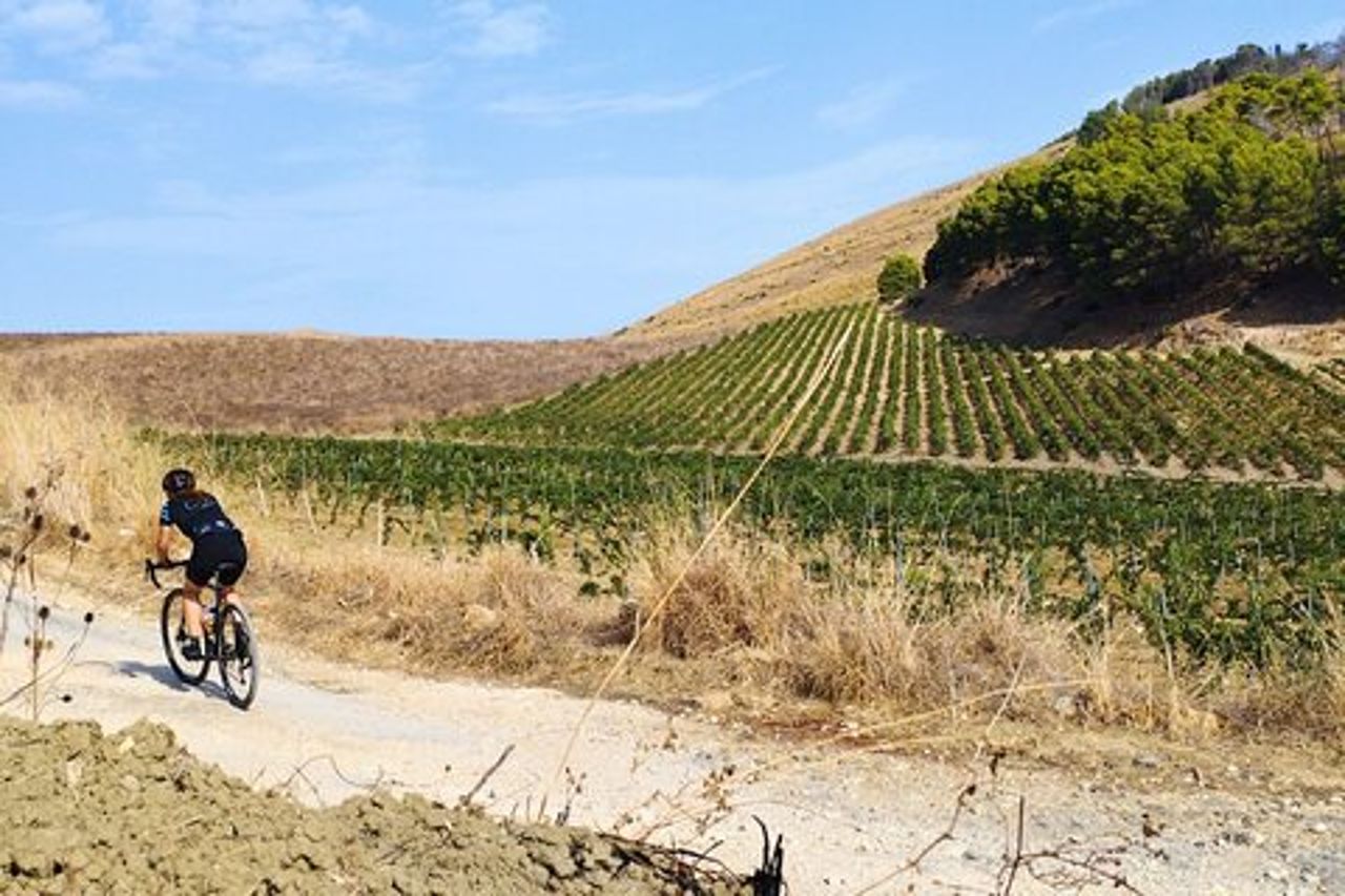 Tour in E-Bike da Castellammare del Golfo al Tempio di Segesta