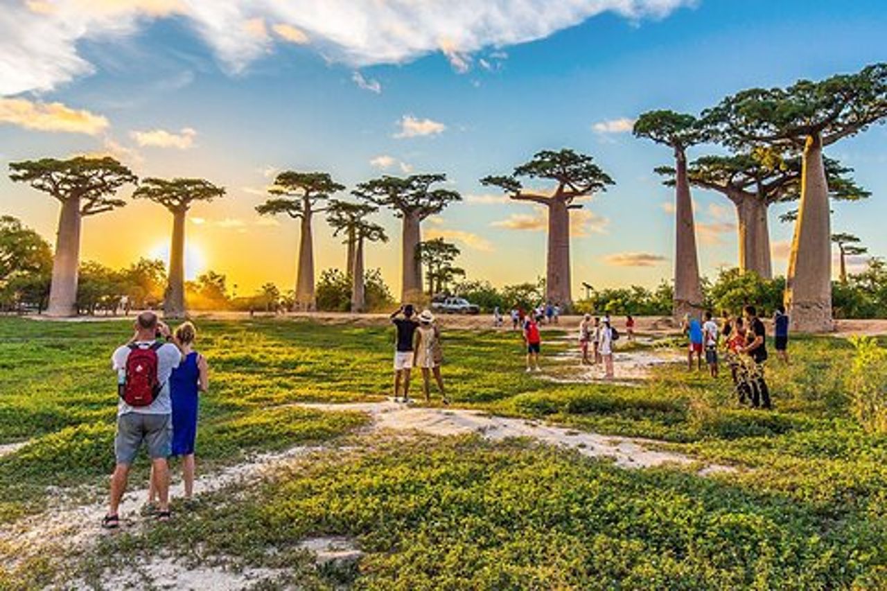 Safari privati di 9 giorni in Madagascar Baobab e famiglia Tsingy