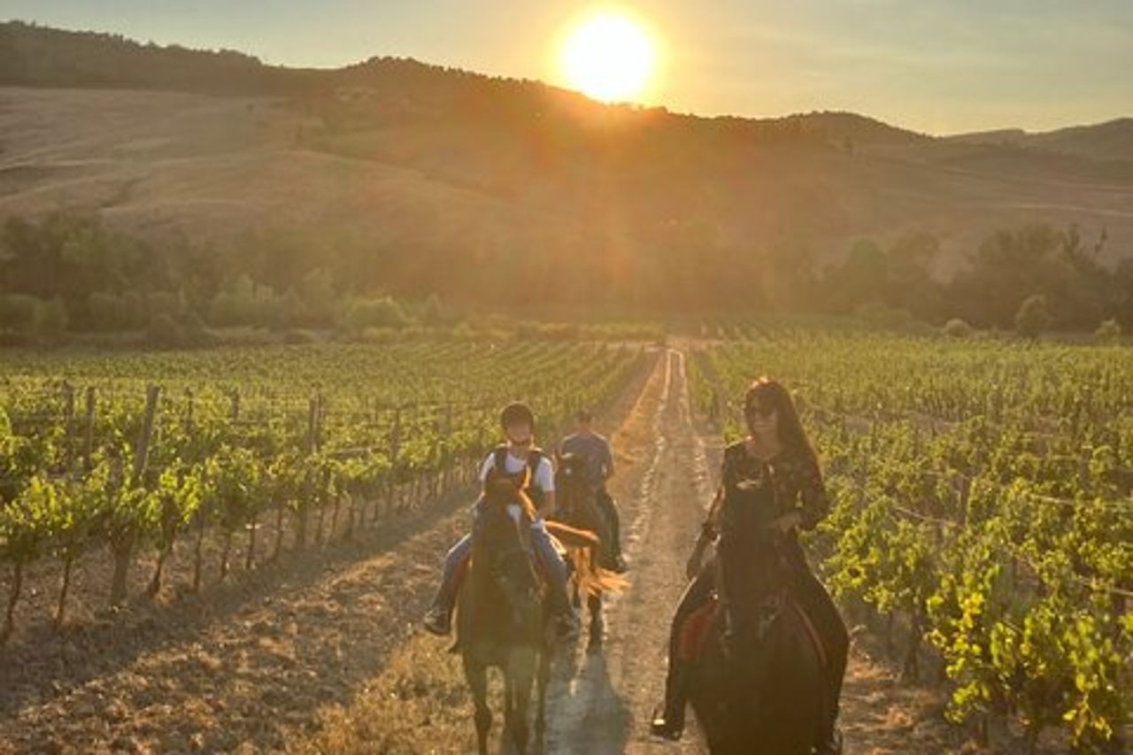 Passeggiata a cavallo tra le colline di Montepulciano in Toscana