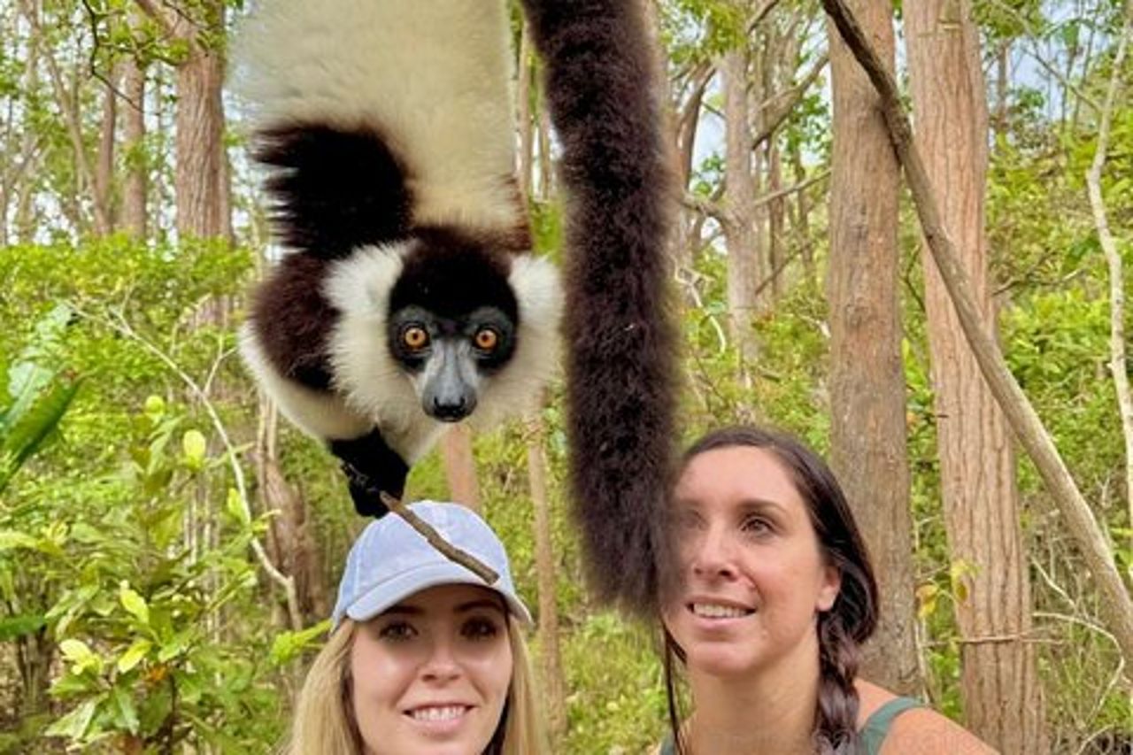 Tour della fauna selvatica del Madagascar 14D / 13N