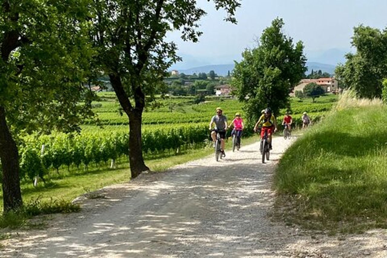 Tour in bici con degustazione di olio d'oliva da San Felice del Benaco