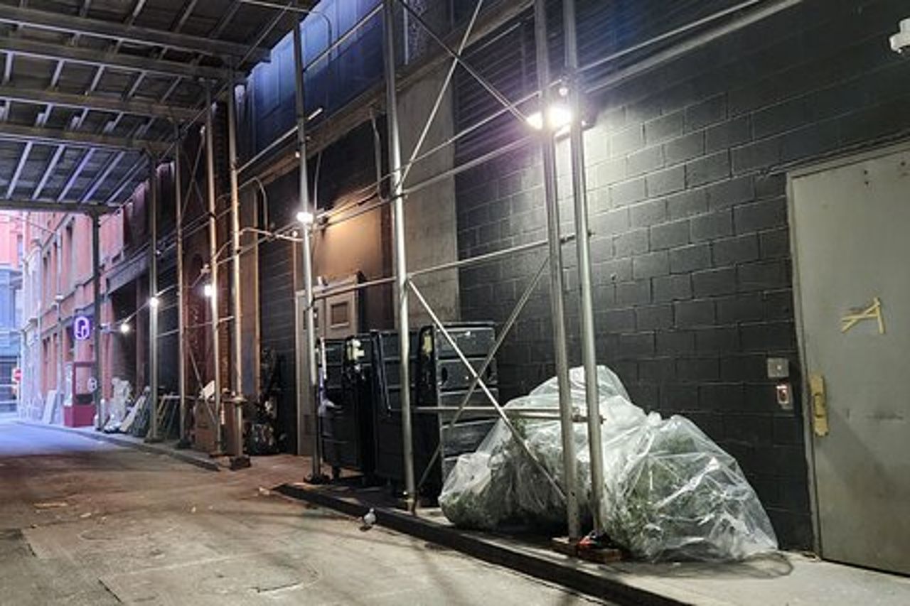 Tour a piedi di rifiuti e ratti a New York