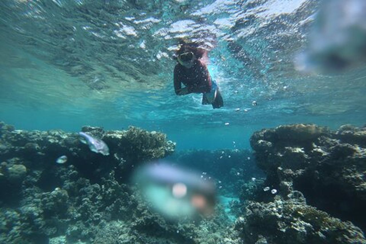 Esperienza di snorkeling privata nel Mar Rosso di Aqaba