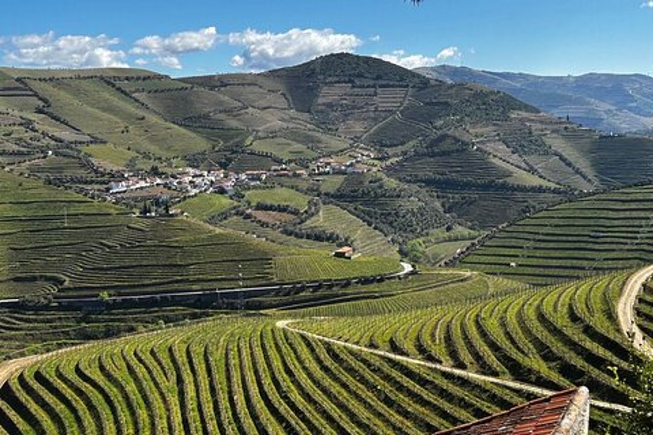 Tour di mezza giornata della Valle del Douro con cantina e pranzo da Porto