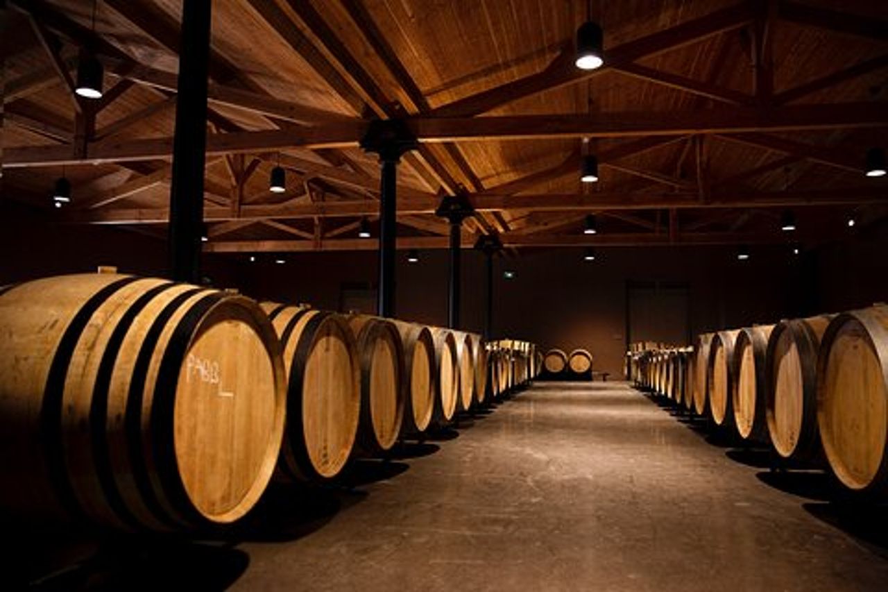 Château de Fieuzal, Pessac-Léognan: visita e degustazione