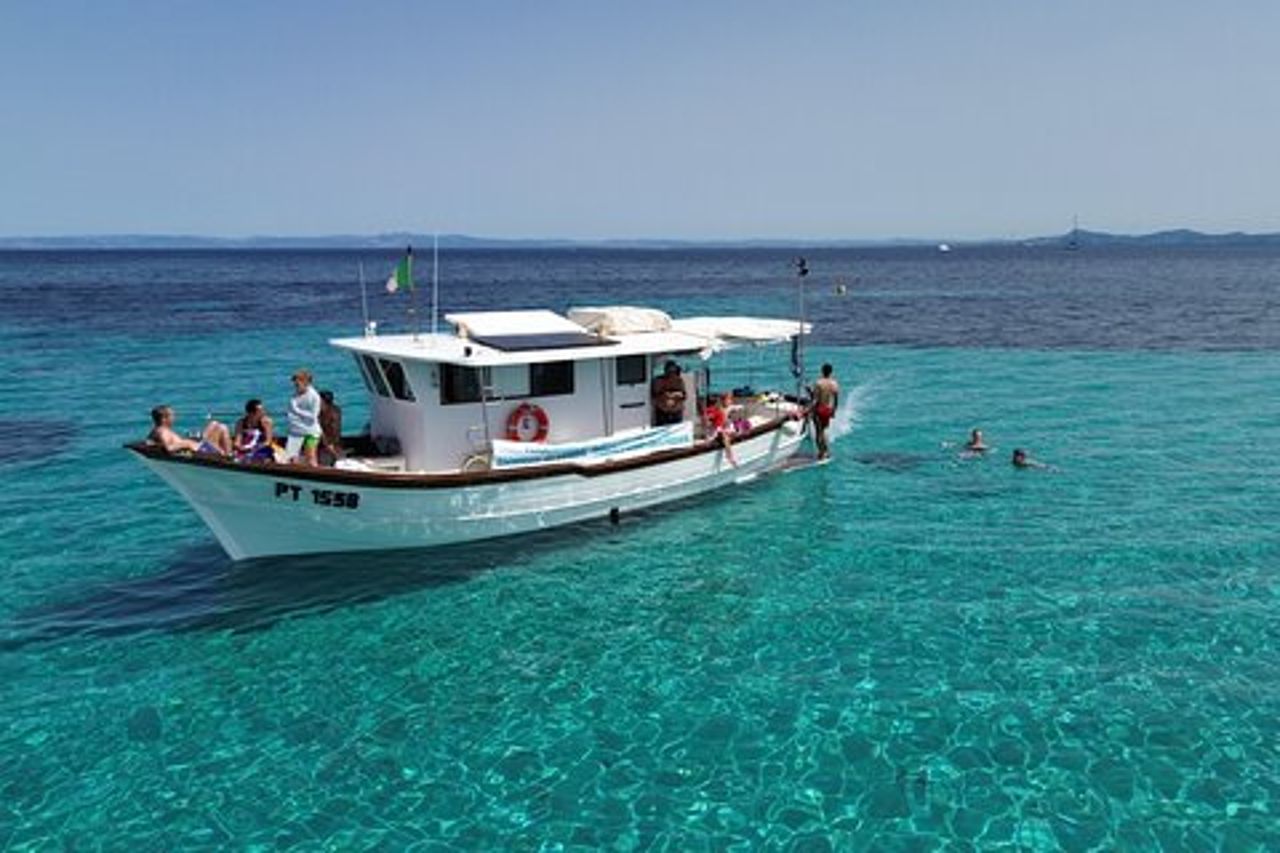 Snorkeling e Tuffi nel Golfo di Tavolara con Pescaturismo