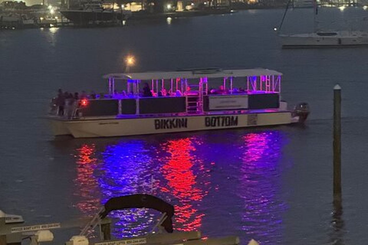 Crociera del delfino al tramonto