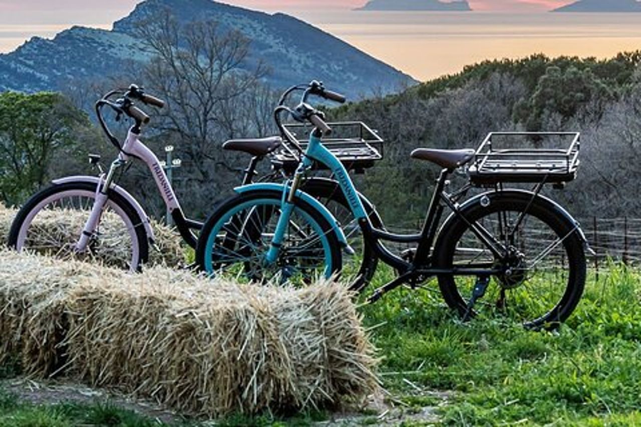 Tour in E-bike nel Cilento con Picnic e Vino