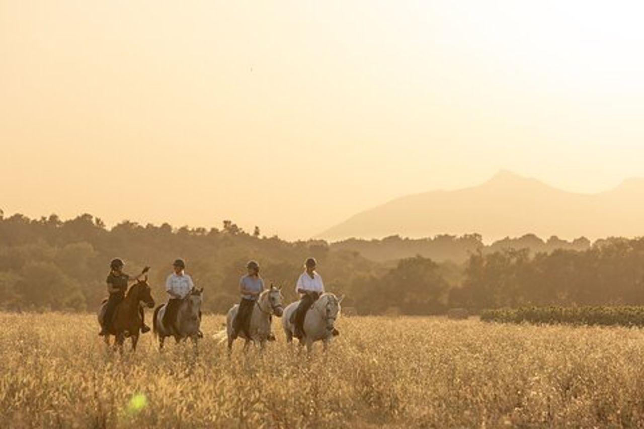 Equitazione e degustazione di vini