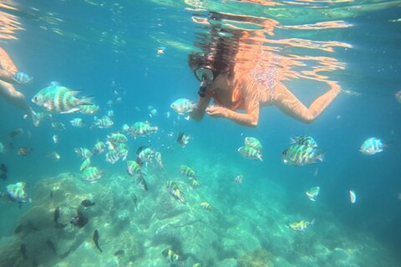 Avventura di snorkeling di mezza giornata a Nha Trang al Marine Park con barbecue