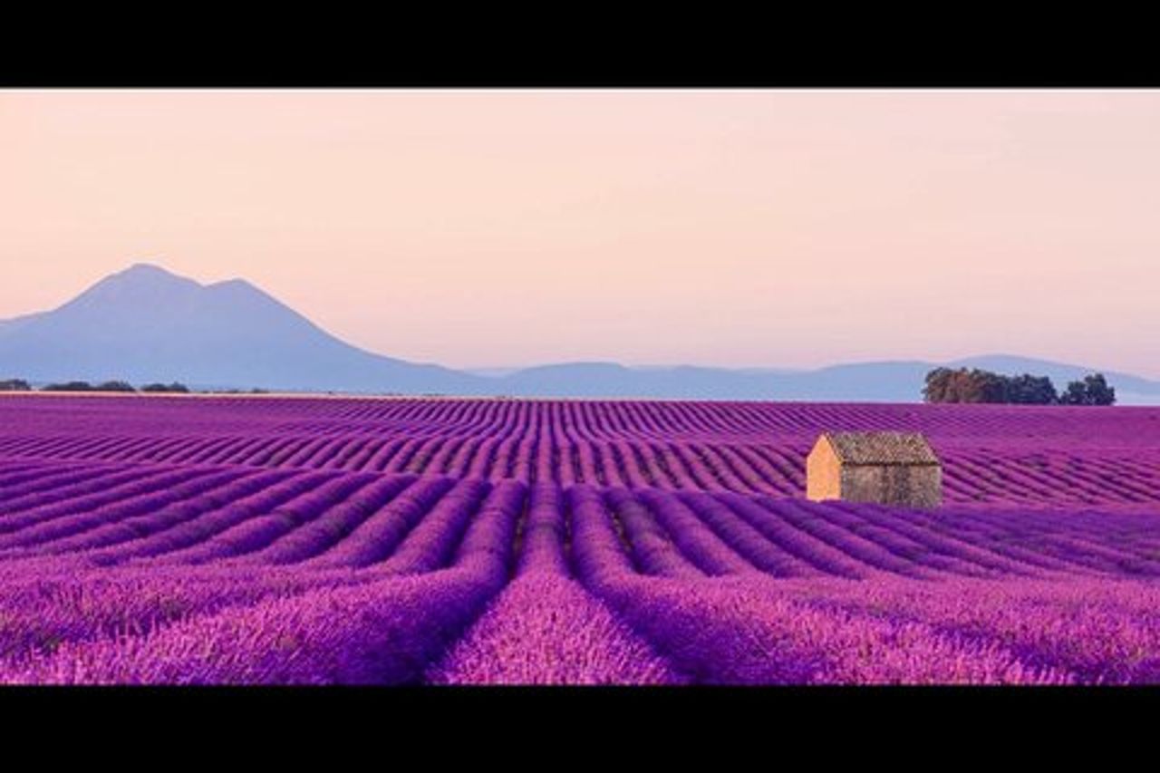 Lavanda - Canyon del Verdon - Castellane - Moustier - Piccolo gruppo