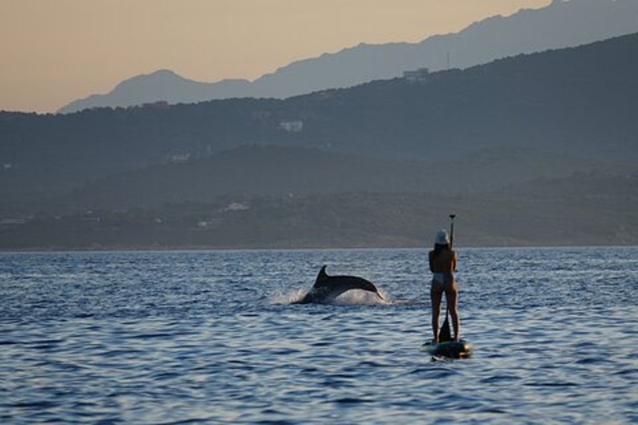 Stand up Paddle tra i delfini, snorkeling e foto