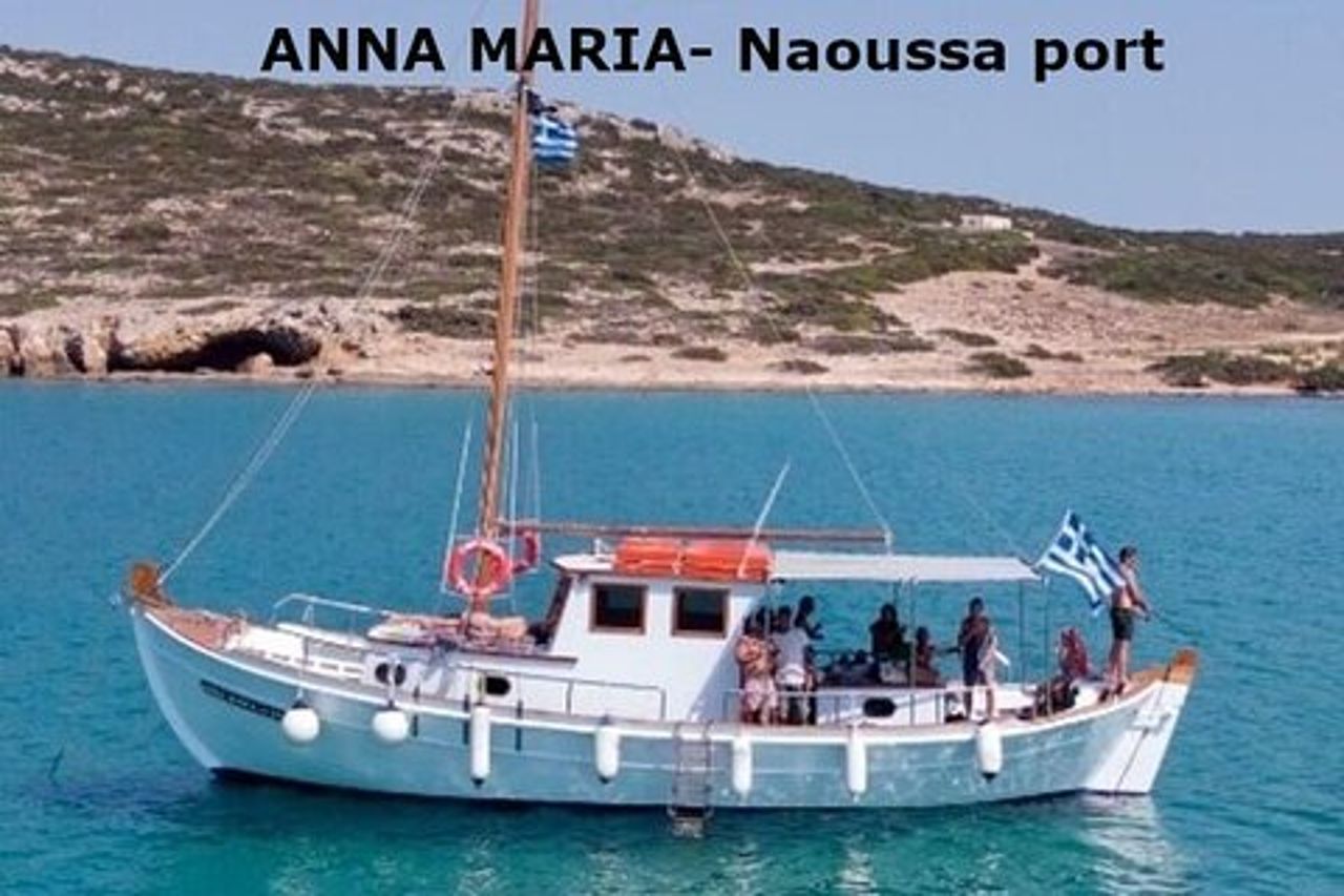 Tour in barca di mezza giornata da Naoussa porto e baia .