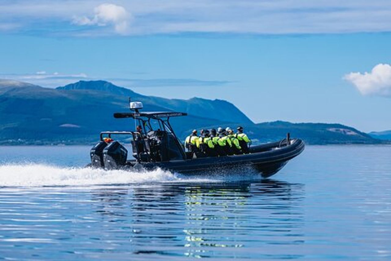 Safari con fiordo e aquila di mare da Sortland