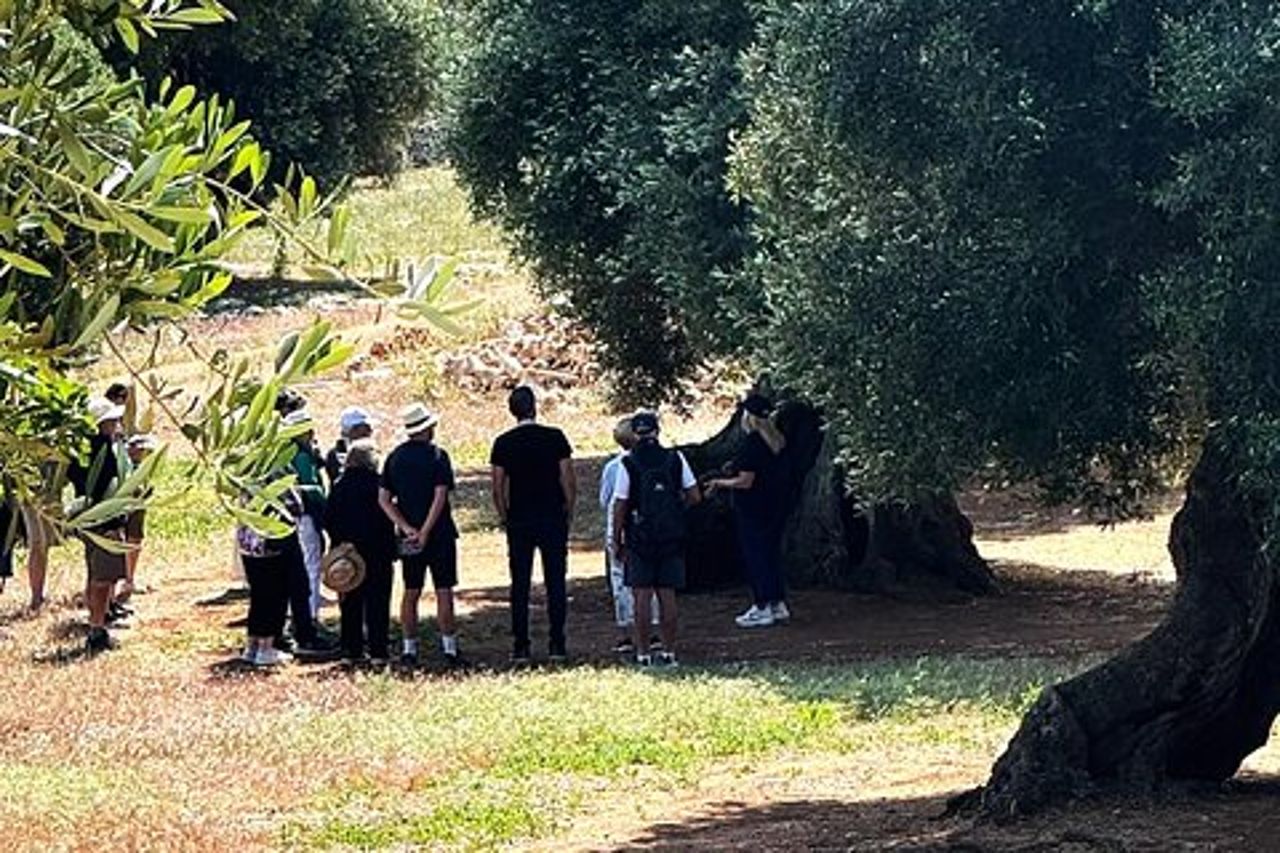 Tour dell'olio d'oliva ed esperienza di degustazione a Ostuni