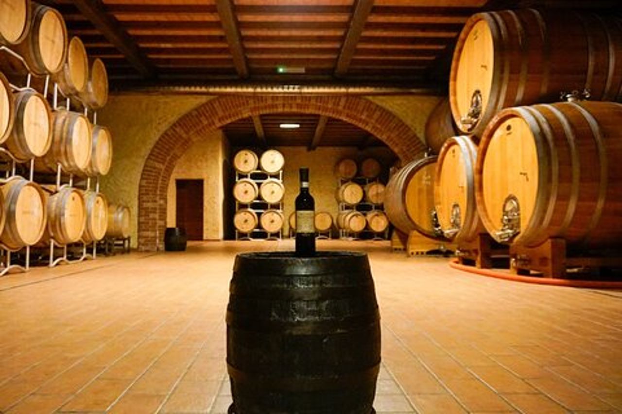 Dal Grappolo al Calice: Viaggio nel Cuore del Vino a Bardolino