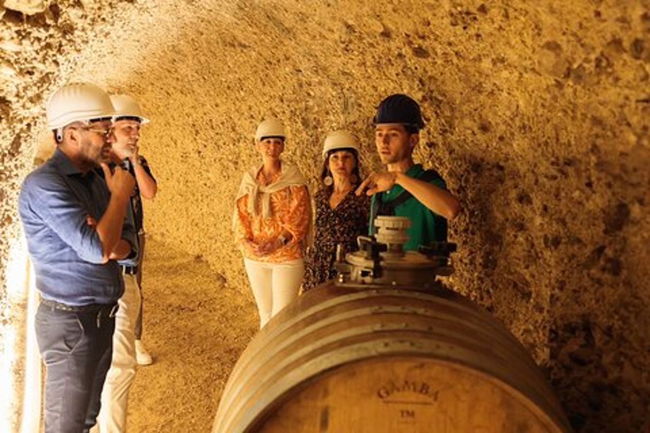 GroMonte: Grotta, Vino e Storia a Montefiore dell'Aso